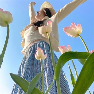 如果德川家康成为总理大臣封面